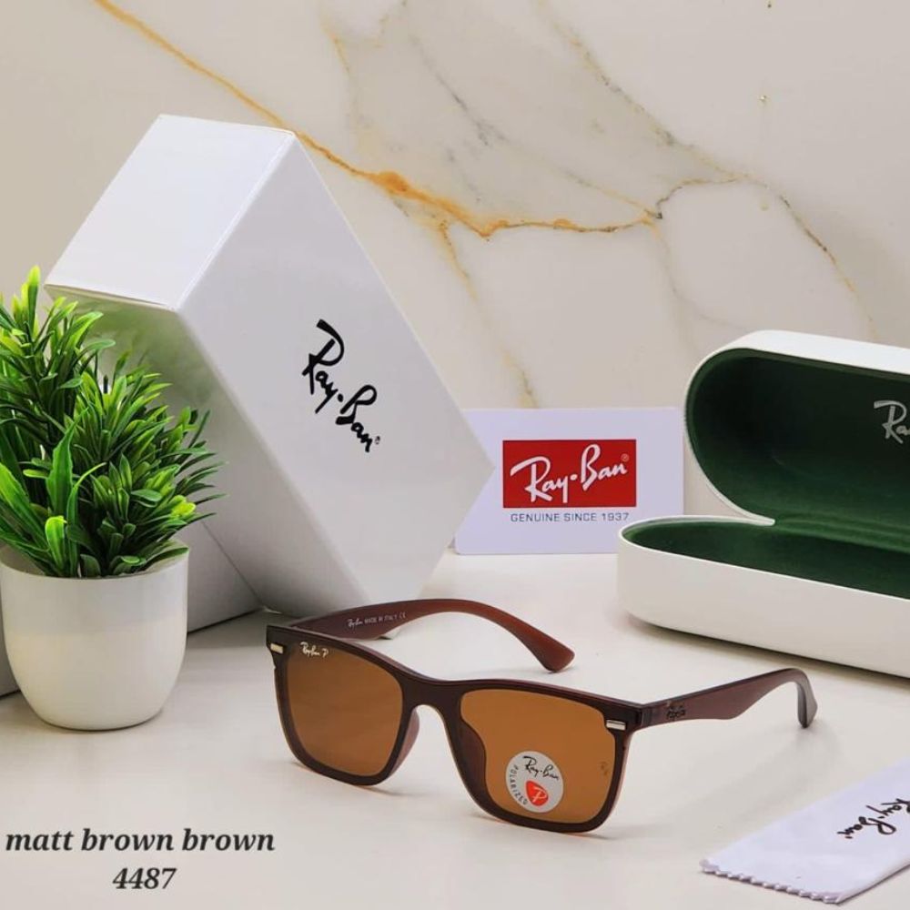 RB4487 Brown-Brown Square Sunglass