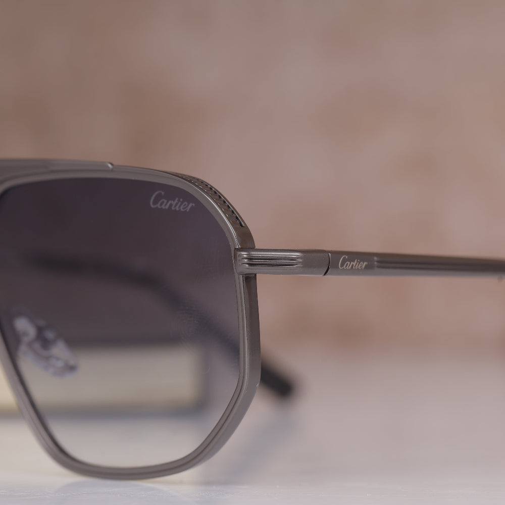 Cartier LX3078 Neutral Grey Sunglass with metal frame and grey lenses